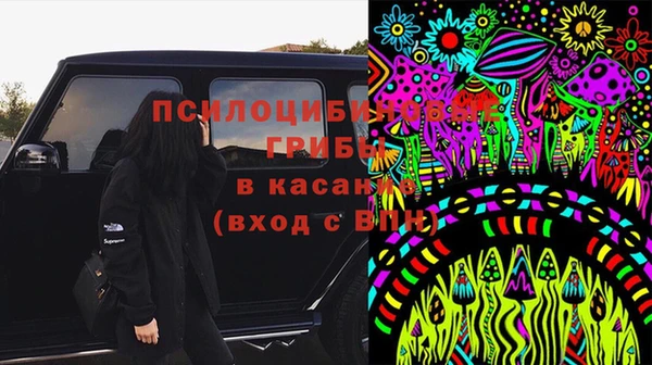 хмурый Козельск