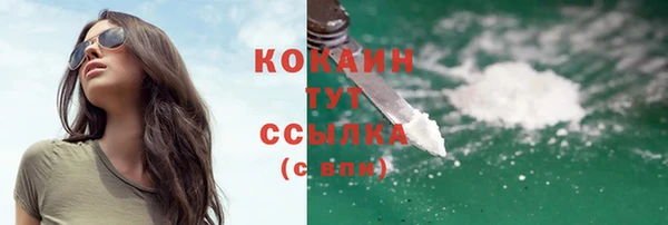 дмт Козловка