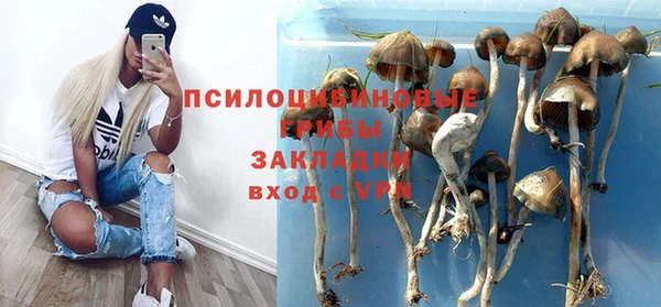 MDMA Кодинск