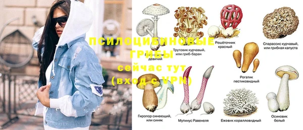 MDMA Кодинск