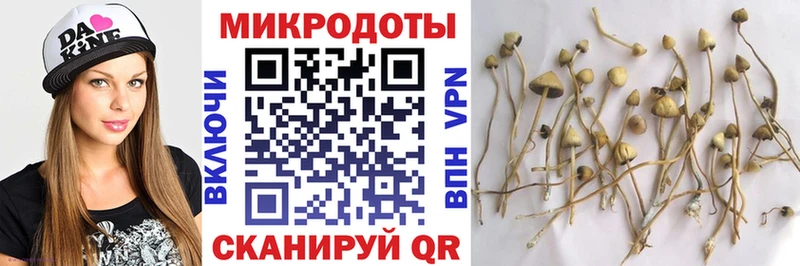 Псилоцибиновые грибы Psilocybe  Купить где  Нахабино 